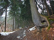 Salita al MONTE COLOMBINA (1459 m.) da Bossico il 3 aprile 2013 - FOTOGALLERY